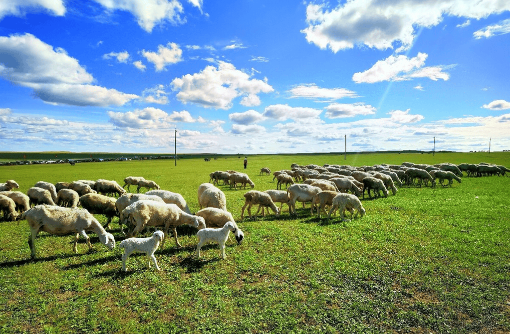 7cdc7e31349543c41e32838acddb2732.png 樂林丨讓每個(gè)人,樂享品質(zhì)涮烤生活